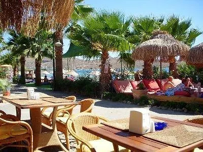 Hotel Sun Club Gumbet 3*